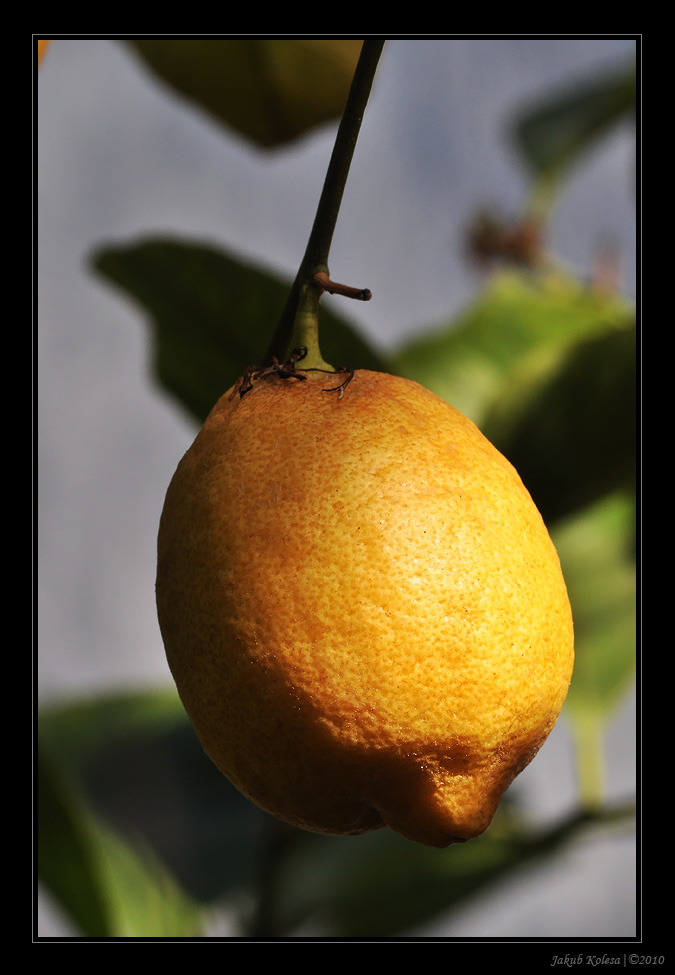 img00022.jpg